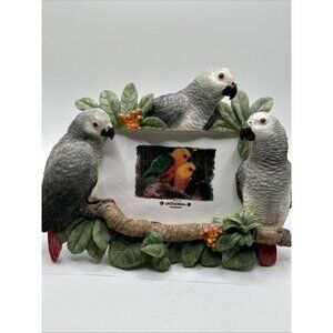 african gray Parrots Birds resin 4 by 6 picture frame 3D E&S Imports